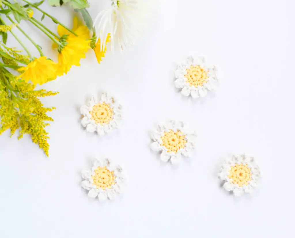 Crochet Daisy Flower Pattern Free