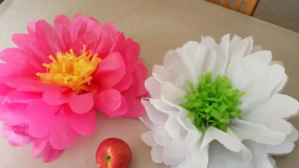 DIY Giant Tissue Paper Flowers Youtube