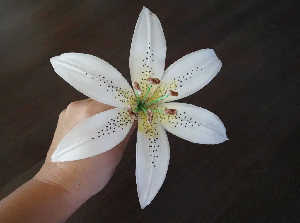 Wafer Paper Tiger Lily Tutorial