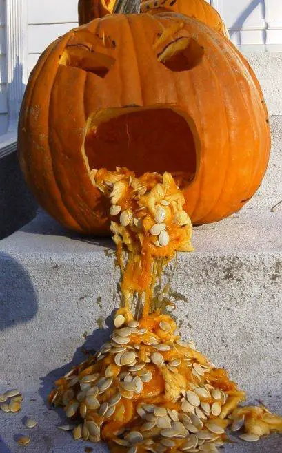 Funny Halloween Pumpkin Designs