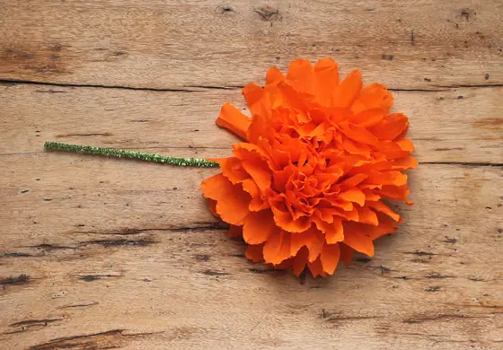 How to Make Mexican Crepe Paper Flowers