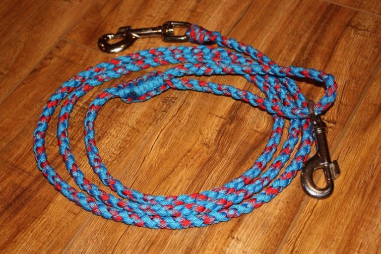 20 Creative DIY Paracord Dog Leash Patterns Ideas