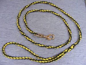 Easy Paracord Dog Leash Instructions