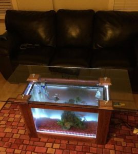 Wooden Fish Tank Coffee Table