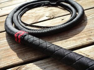 Paracord Bullwhip