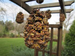 DIY Pine Cone Bird Feeder