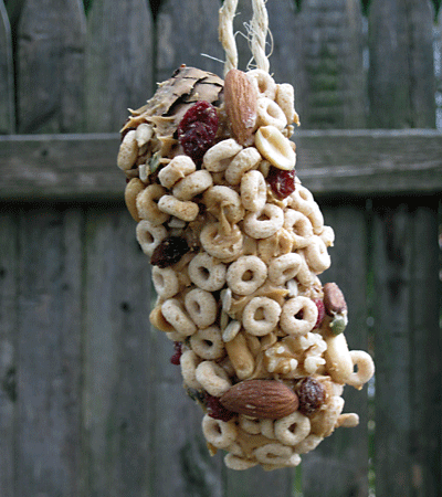 Pine Cone Bird Feeder with Cereal