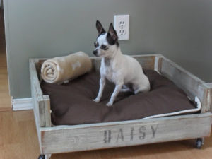 DIY Pallet Dog Bed
