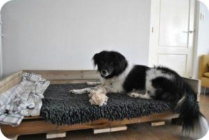 Dog Bed Made from Pallets