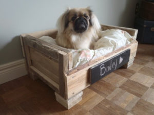 Dog Bed with Pallets