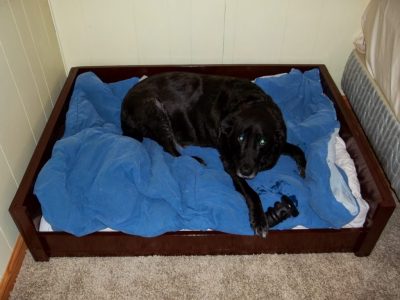 How to Make Pallet Dog Bed