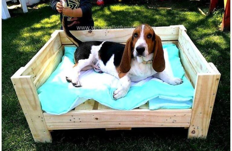Pallet Dog Bed 19+ Easiest DIYs and Ideas