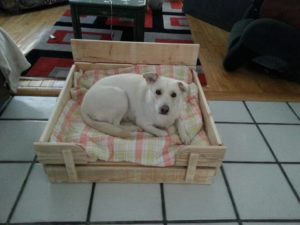 Pallet Dog Beds