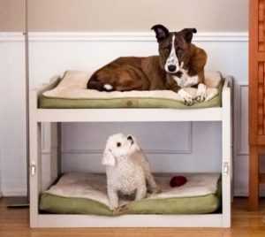 Pallet Dog Bunk Bed