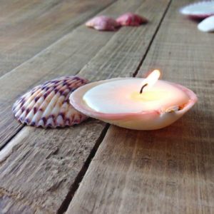Make Seashell Candles