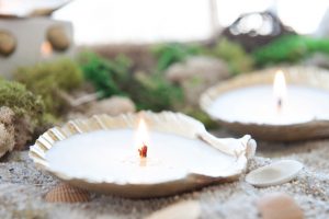 Scallop Shell Candles