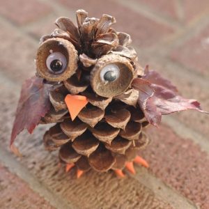 Pine Cone Owl DIY