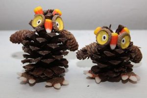 Pinecone Owls
