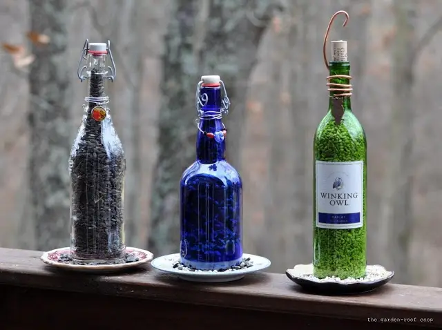 Wine Bottle Bird Feeders DIY