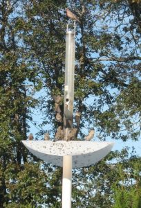 PVC Bird Feeder Pole Design