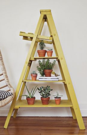 Bookshelf with Ladder