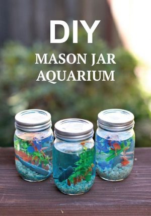 Mason Jar Aquarium