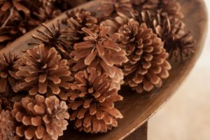 Cinnamon Scented Pine Cones
