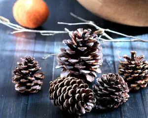 DIY Scented Wax Pine Cones