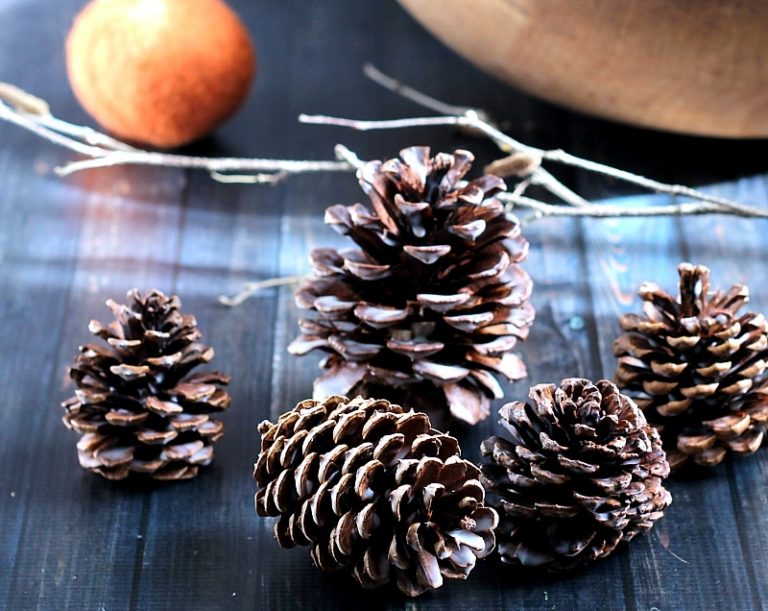 10 DIY Scented Pine Cones at Home Ideas for DIY