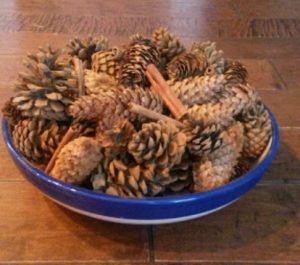 Scent Pine Cones Images
