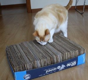 Cardboard Box Cat Scratcher